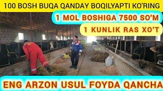 ENG ARZON USULLAR MOL BOQISH SIRLARI 29.11.2024