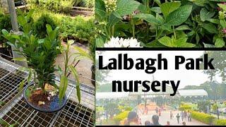 Lalbagh Park nursery || Bangalore , karnatka