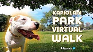 Walking Our Dog at Kapiolani Park! | Virtual Walk