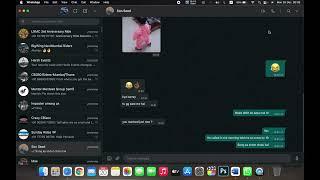 How To Make Voice And Video Calls On WhatsApp Web