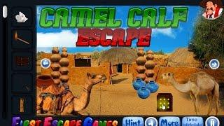 Camel Calf Escape - First Escape Games,..