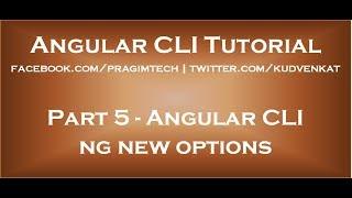 Angular CLI ng new options