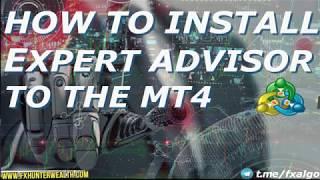 How to install Expert advisor to the MT4