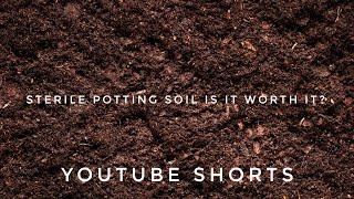 Issues With Sterile Potting Soil For House Plants | Gardening in Canada #Shorts