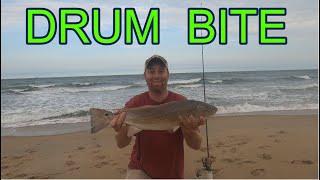 Surf Fishing Virginia Beach - Puppy Drum / Redfish (Catch and Cook!!)