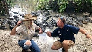 Handcuffed together  with Alligators Everywhere!