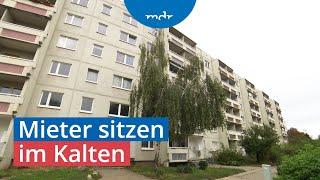 Stadtwerke Halle stellen Warmwasser und Heizung ab | MDR um 4 | MDR