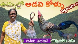 వేటాడి వంట చేశాం | Wild hunting | birds hunting |