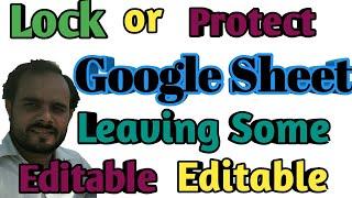 How to protect google spreadsheet except certain cell editable in hindi,Lock,secure google sheet