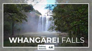 Otuihau Whangārei Falls | Whangārei New Zealand Walking Tour 4K