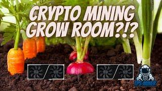 Crypto Mining Grow Room