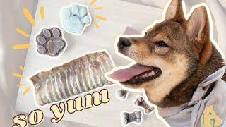 HOMEMADE TREATS, FOODS & SNACKS for happy and stimulated dogs | SHIBA INU approved