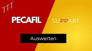 Pecafil auswerten über Report