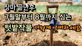 장마 끝난후 7월말부터 8월에 심는 텃밭작물 이렇게 준비하세요