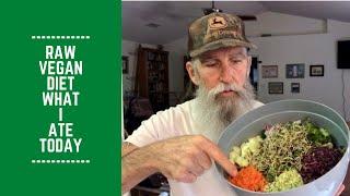 What I Ate Today on a Raw Vegan Diet