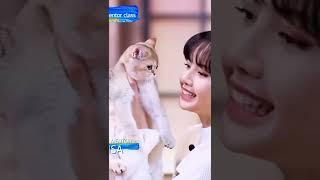 lisa's cats are done with blackpink 