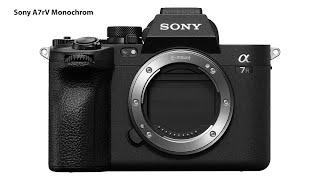 The Sony A7rV monochrom would have increased sharpness and one stop higher dynamic range!