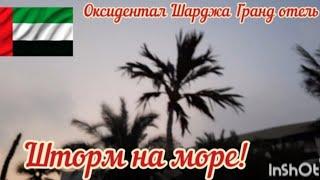 ОАЭ -2024. Оксидентал Шарджа Гранд. Шторм на море. Обзор ресепшена в отеле #оаэ2024  #отдыхвэмиратах