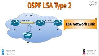 OSPF Type 2 LSA (Network Link LSA)