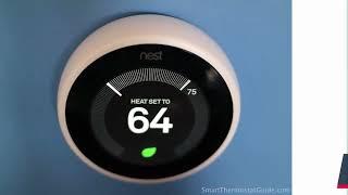 Can Nest Thermostat Be Connected To Two Phones