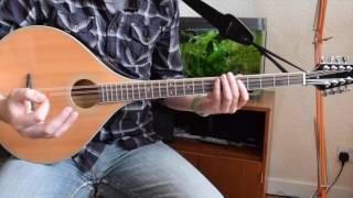 Beginner Irish Bouzouki Lesson - Chords in the key of G