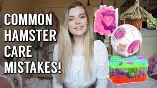 Most Common Hamster Care Mistakes //Dangerous Hamster Products!