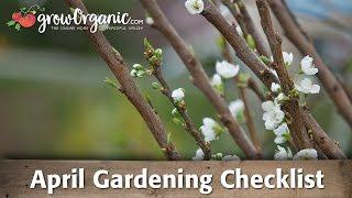 April Gardening Checklist: 19 Tips to Keep Your Organic Garden Healthy in April