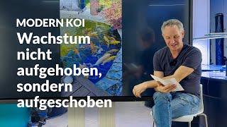 Wachsen Koi nach Wachstumsstopp normal weiter? | Modern Koi Blog #7232