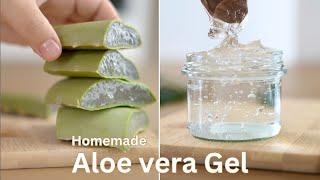 How to make aloe vera gel at home and preserve for months