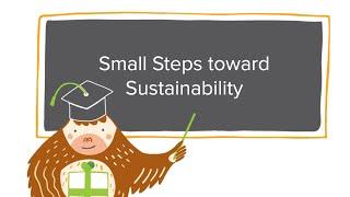 Bloomerang Academy: Small Steps toward Sustainability