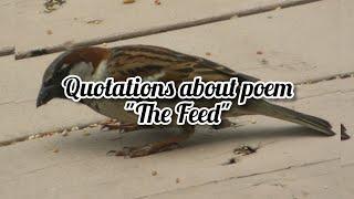 quotations about poem "The Feed"