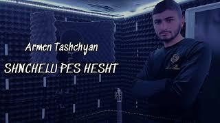 Armen Tashchyan (cover) shnchelu pes hesht 2022-2023