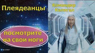 Плеядеанцы (Командир Калигал): - посмотрите на свои ноги