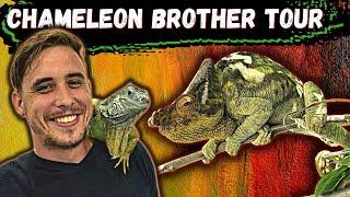 Reptile Facility Tour @ West Coast Chameleon Brothers