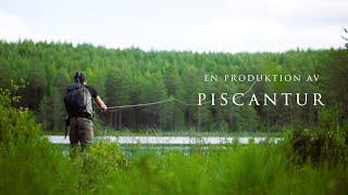 PISCANTUR OPEN - Team Baitbox VS Piscantur - DRYFLYFISHING BATTLE