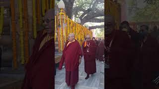 H.H Rigo Tulku rinpoche & H.E Khen Sange Rangjung Rinpoche at bodhgaya