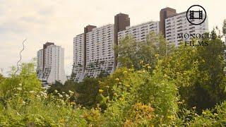 Design Tours: The world’s best public housing?