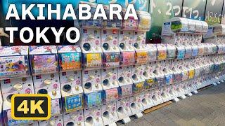 Akihabara Walk in Tokyo Japan ~ Anime, Hobbies,  Electronics Town ~ 秋葉原散歩