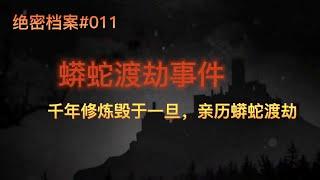 【绝密档案#011 】盘点中国各地蟒蛇渡劫事件