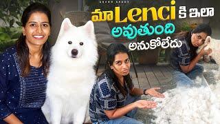 మా lenci కి ఇలా అవుతుంది అనుకోలేదు ️|| Anshu Reddy || Anshu Reddy Vlogs ||