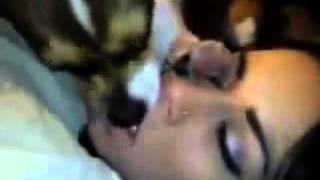 A dog lick Sleeping Hot Beauty (funny video) visit www.apni.in