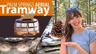 Palm Springs Aerial Tramway **2024** AMAZING VIEWS