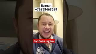 Бузбала-Шудан ширкати-шиффо-фармо