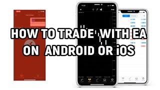 How to trade with an advisor using Android or iOS. How to use the MT4 or MT5 terminal on your phone