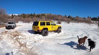 Jeep Wrangler Stuck! This Was Way Too Hard!￼