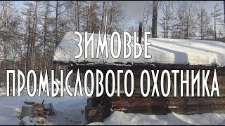 Зимовье промыслового охотника, таежная избушка, обустройство Видео 4К