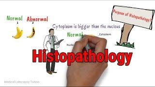 Histopathology || Tissue Processing || Tissue processing in histopathology laboratory