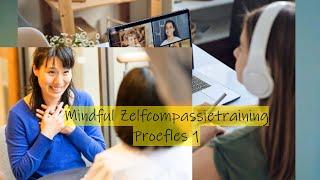 Mindful Zelfcompassie proefles 1