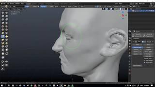 Zbrush User sculpt a head in Blender 2.8x