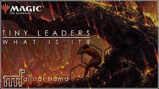 TINY LEADERS | An Introduction Guide | WHAT IS IT? | MtG